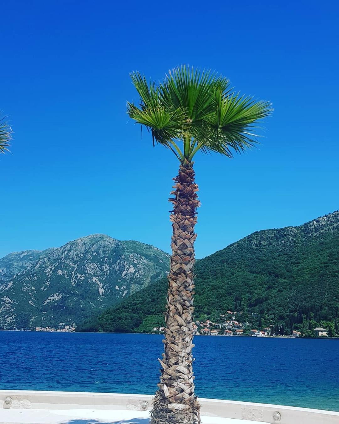 Apartman Taraca Villa Knezevic Herceg Novi Kamer foto