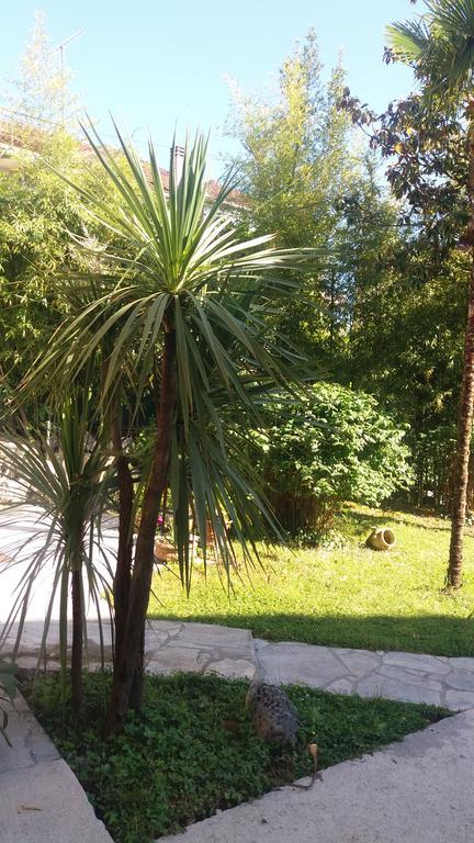 Apartman Taraca Villa Knezevic Herceg Novi Buitenkant foto